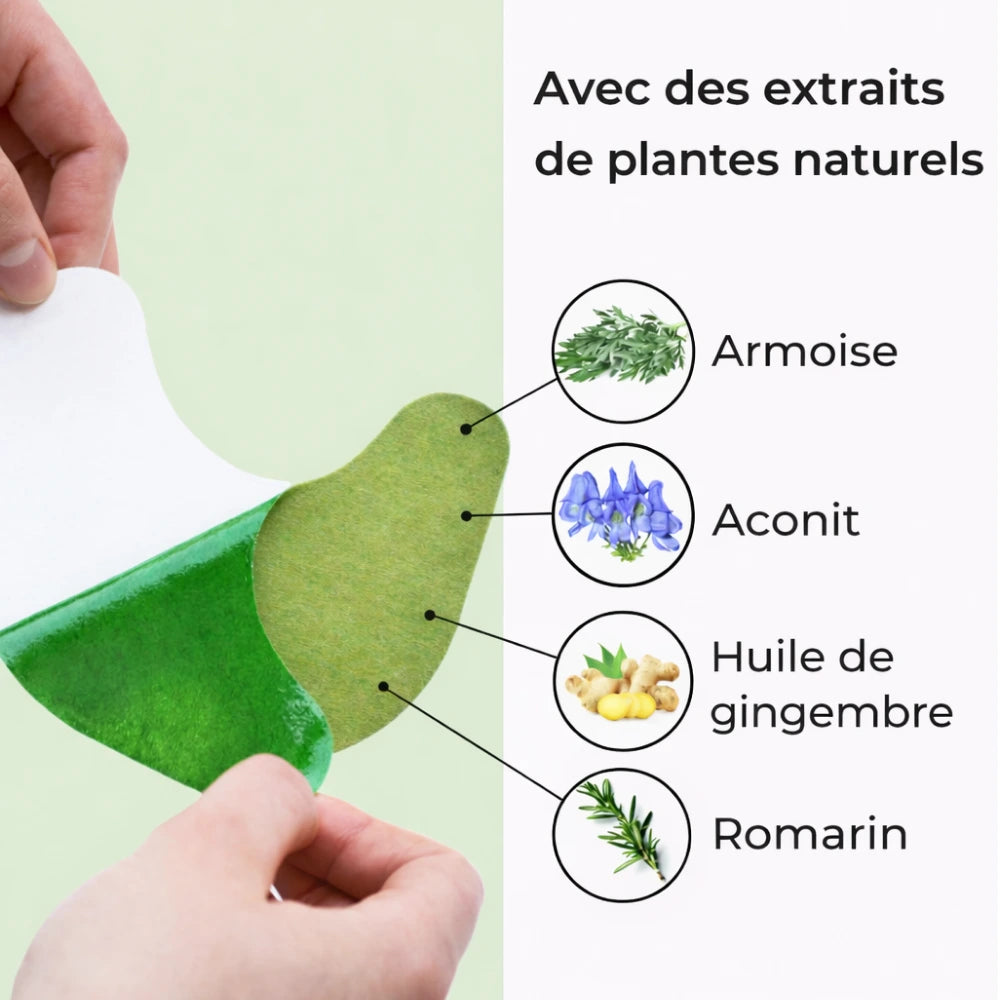 Bandes chauffantes à base de plantes par 5